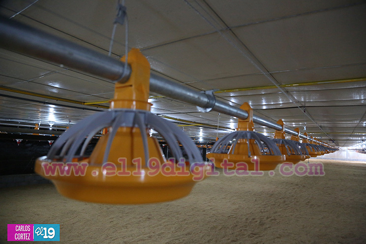 Moderna Granja Av&iacute;cola en Tipitapa